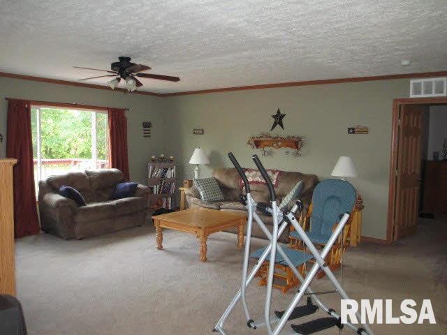 11630 Pebble Road Mount Vernon, IL 62864 - Photo 18 of 50 Gallery Image 18