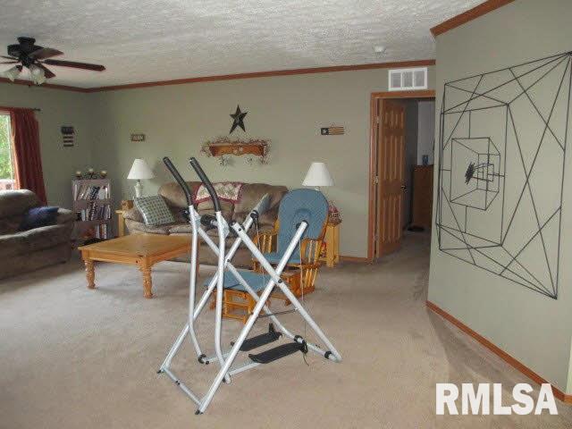11630 Pebble Road Mount Vernon, IL 62864 - Photo 19 of 50 Gallery Image 19