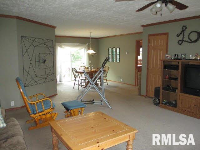 11630 Pebble Road Mount Vernon, IL 62864 - Photo 20 of 50 Gallery Image 20