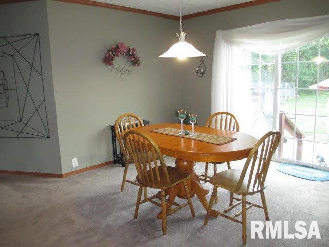 11630 Pebble Road Mount Vernon, IL 62864 - Photo 27 of 50 Gallery Image 27