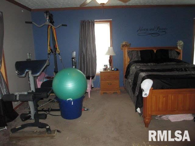 11630 Pebble Road Mount Vernon, IL 62864 - Photo 29 of 50 Gallery Image 29