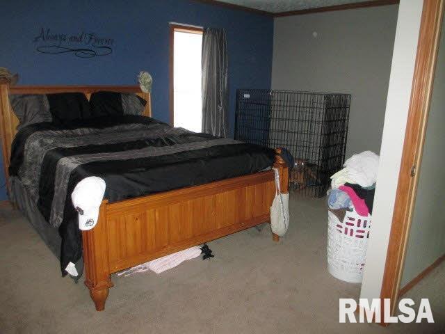 11630 Pebble Road Mount Vernon, IL 62864 - Photo 30 of 50 Gallery Image 30