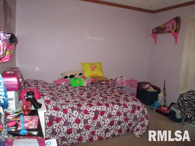 11630 Pebble Road Mount Vernon, IL 62864 - Photo 37 of 50 Gallery Image 37