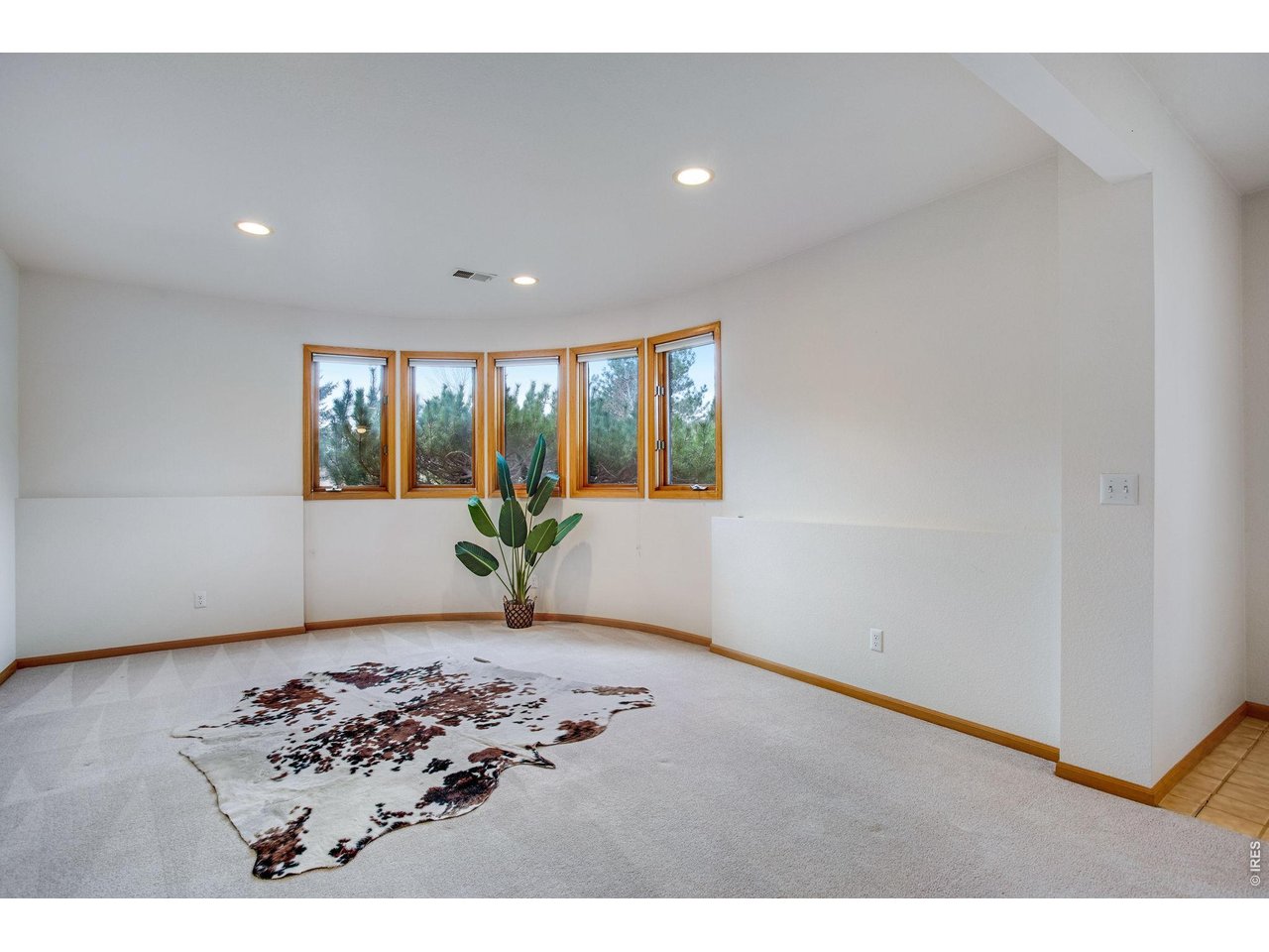 6230 Eagle Ridge Court Fort Collins, CO 80525 - Photo 44 of 50 Great Light in the Basement