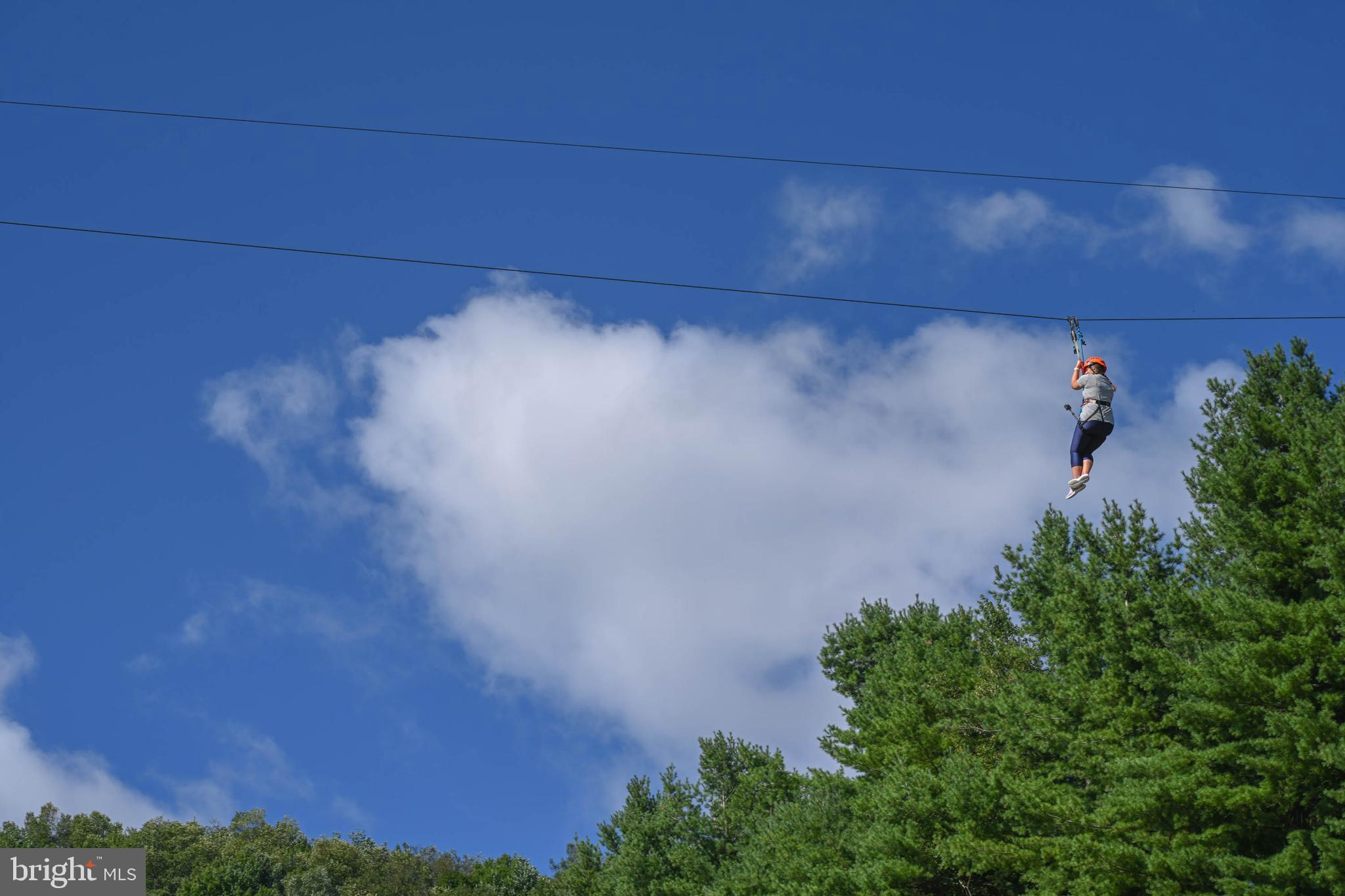 40 Fern Loop Oakland, MD 21550 - Photo 17 of 28 a view of room