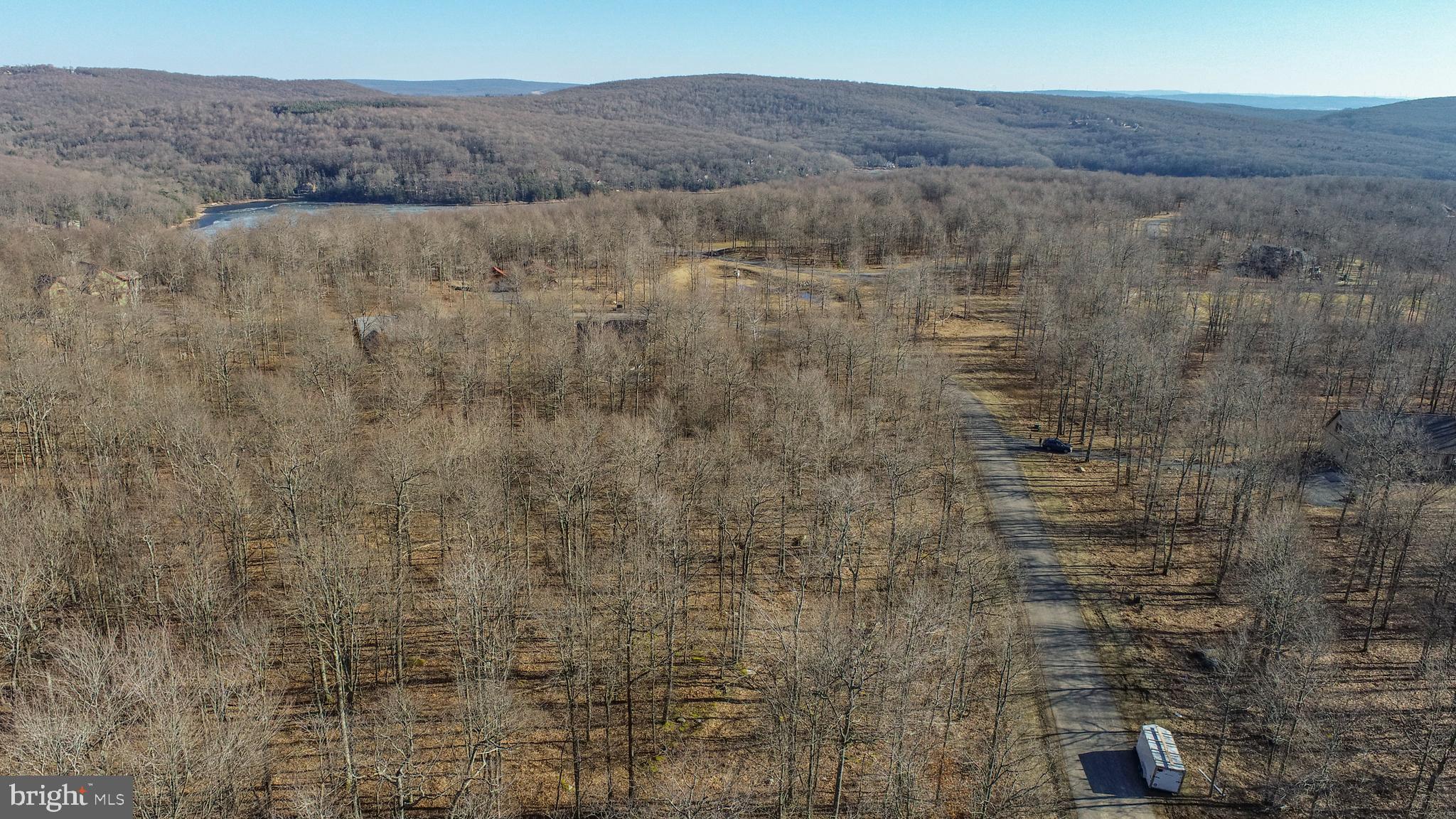 40 Fern Loop Oakland, MD 21550 - Photo 6 of 28 a view of a dry yard