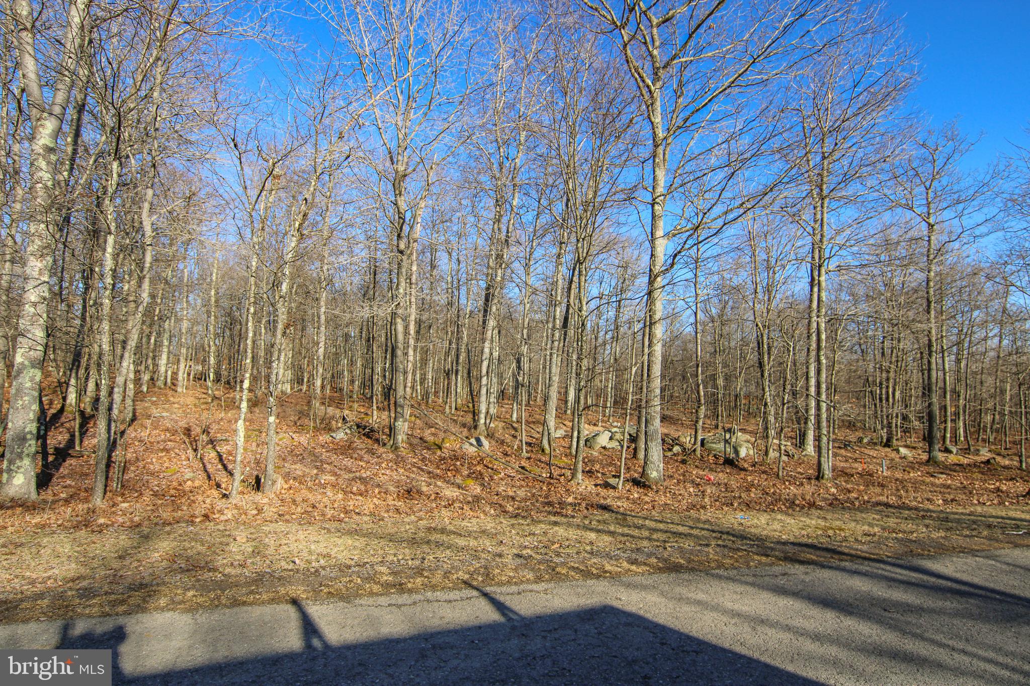 40 Fern Loop Oakland, MD 21550 - Photo 8 of 28 a view of yard covered with snow