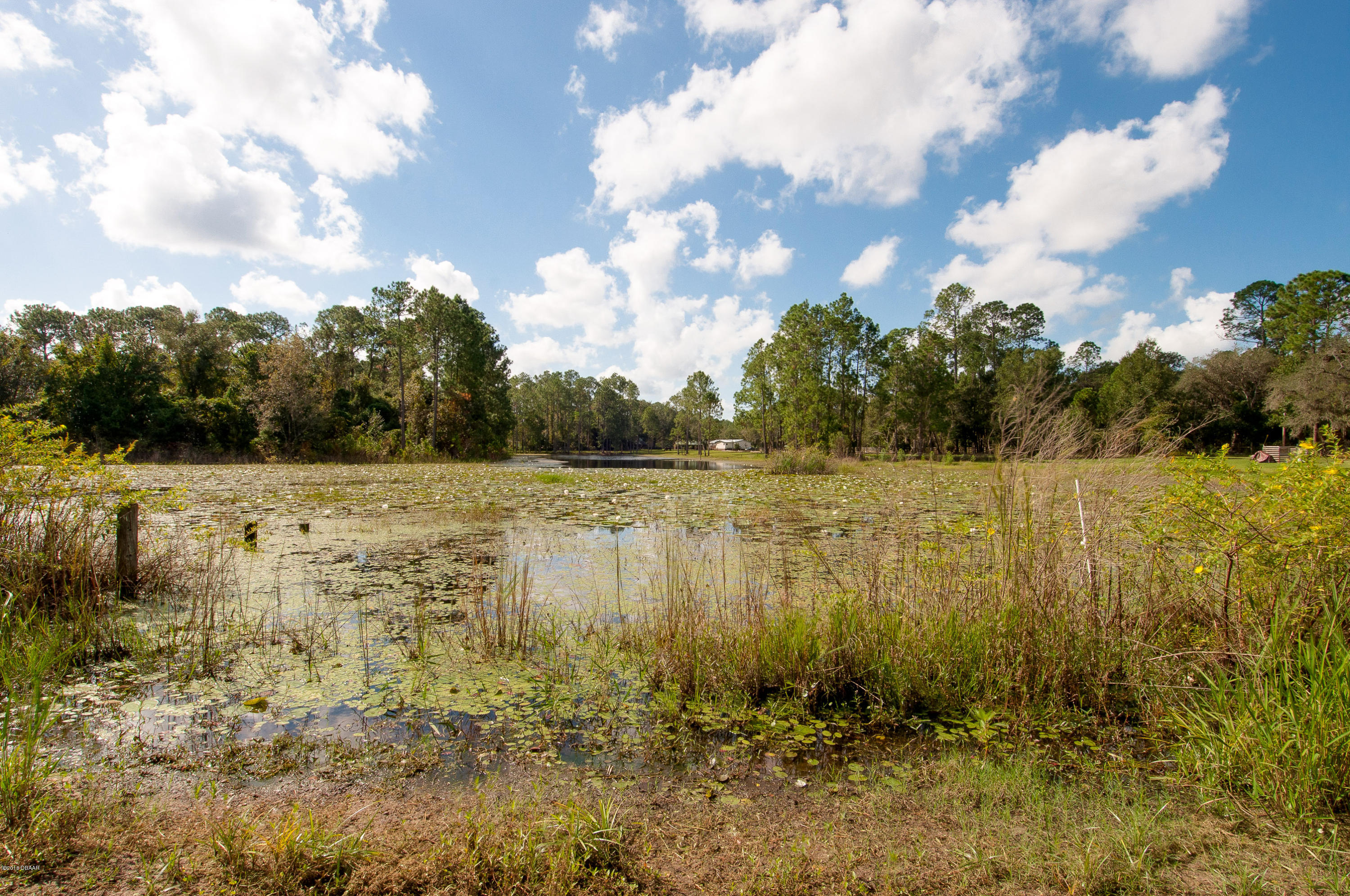 54634 Buckhorn Road Astor, FL 32102 - Photo 11 of 33 54634 Buckhorn Rd-29