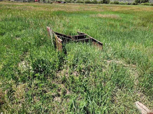 a view of a lush green field