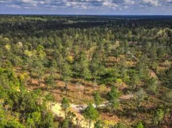 0 Deer Run Road Aiken, SC 29803 - Photo 1 of 1 0000 Deer Run Rd