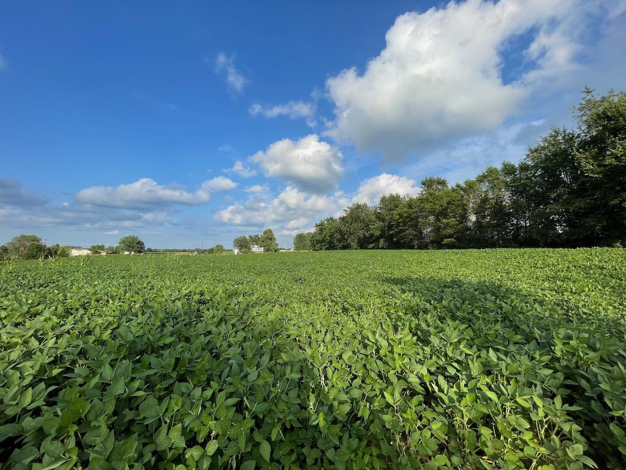 Lot 9 Sunset Trace Tomah, WI 54660 - Photo 3 of 8