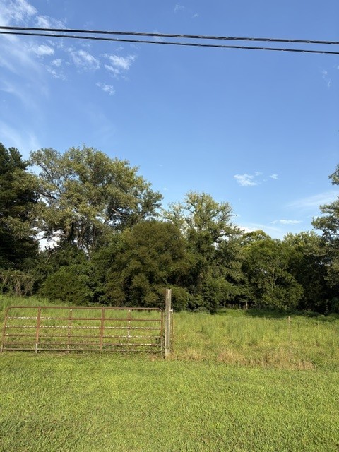0 Still Pond Road Columbia, TN 38401 - Photo 2 of 2 Gallery Image 2