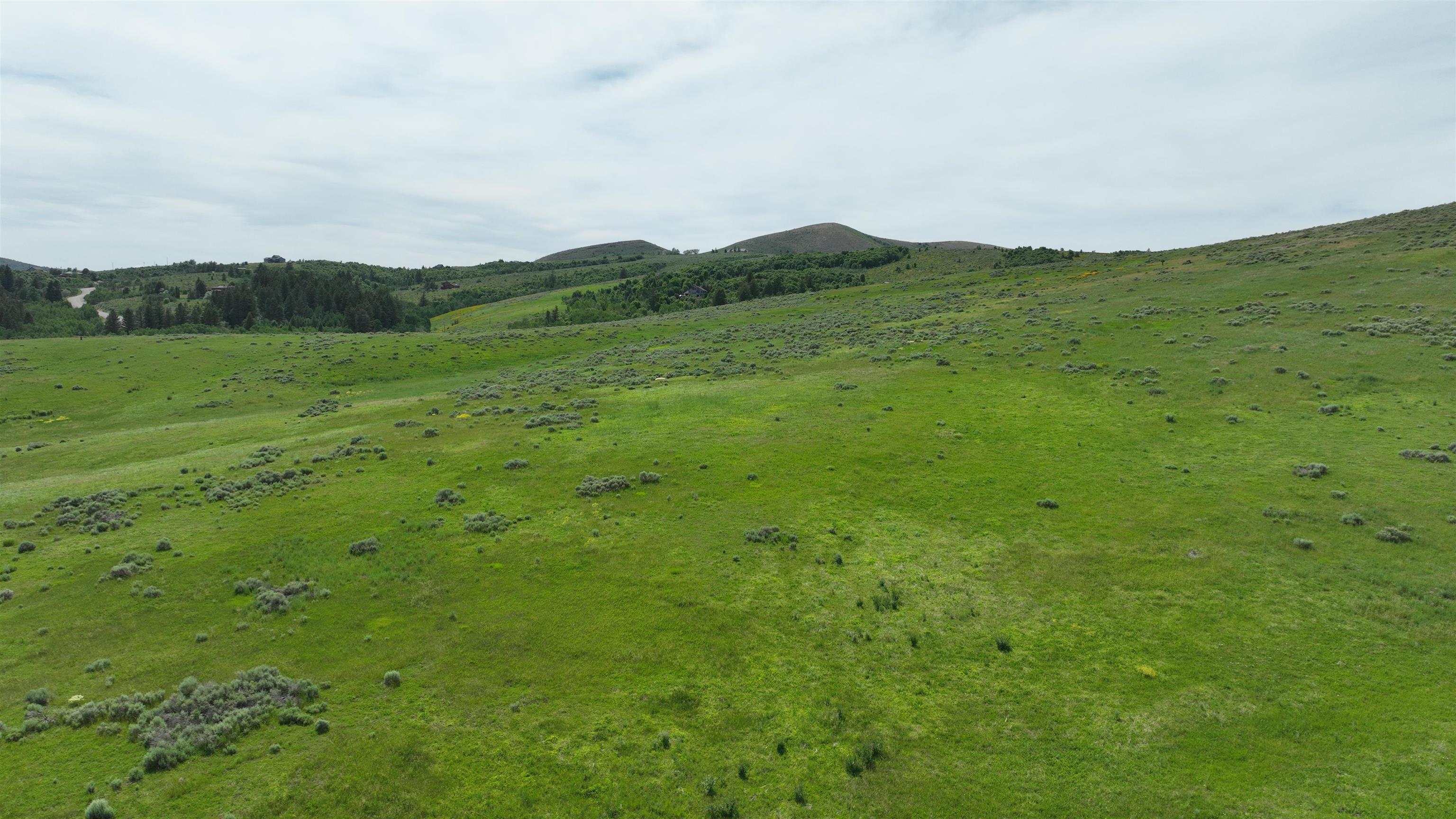 West Buckskin Road Pocatello, ID 83201 - Photo 7 of 41 Gallery Image 7