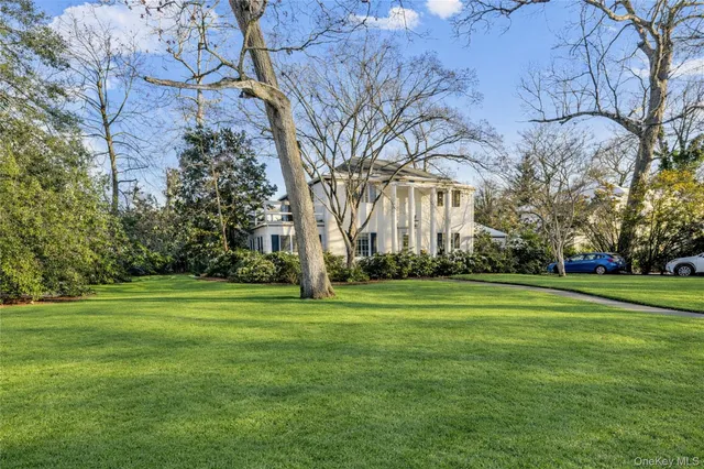 a grassy field with trees in the background