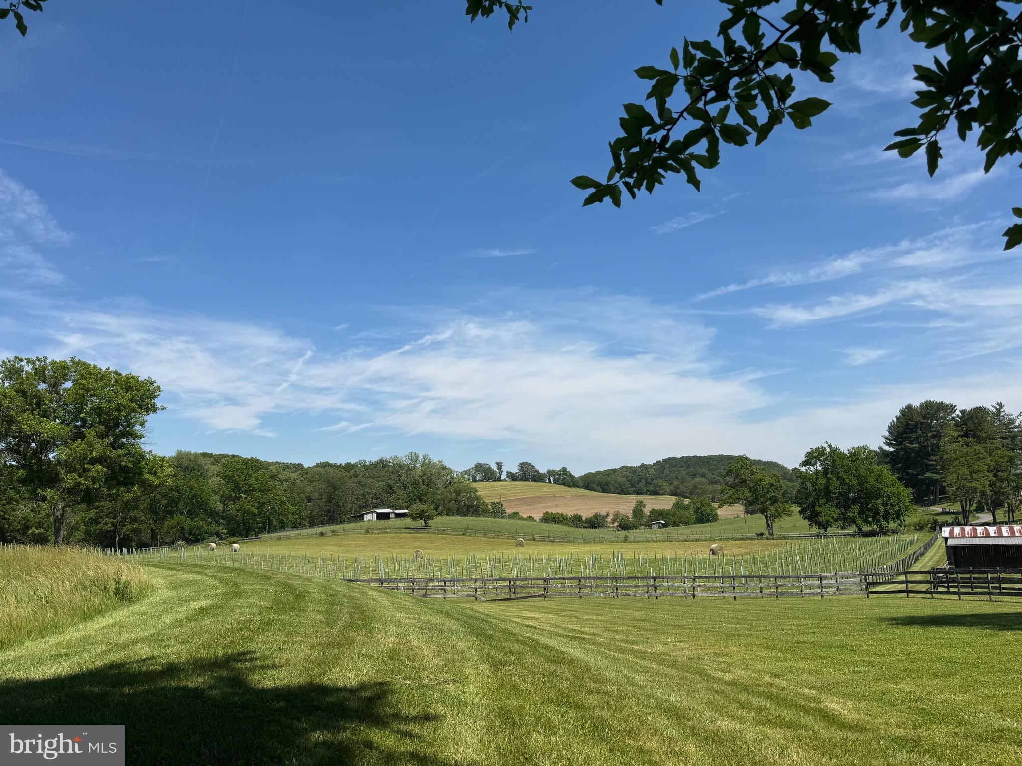 6501 Green Valley Road New Market, MD 21774 - Photo 18 of 55 Expansive view!