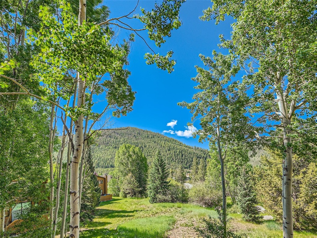 620 Tennis Club Road, Unit 1338 Keystone, CO 80435 - Photo 26 of 36 Gallery Image 26