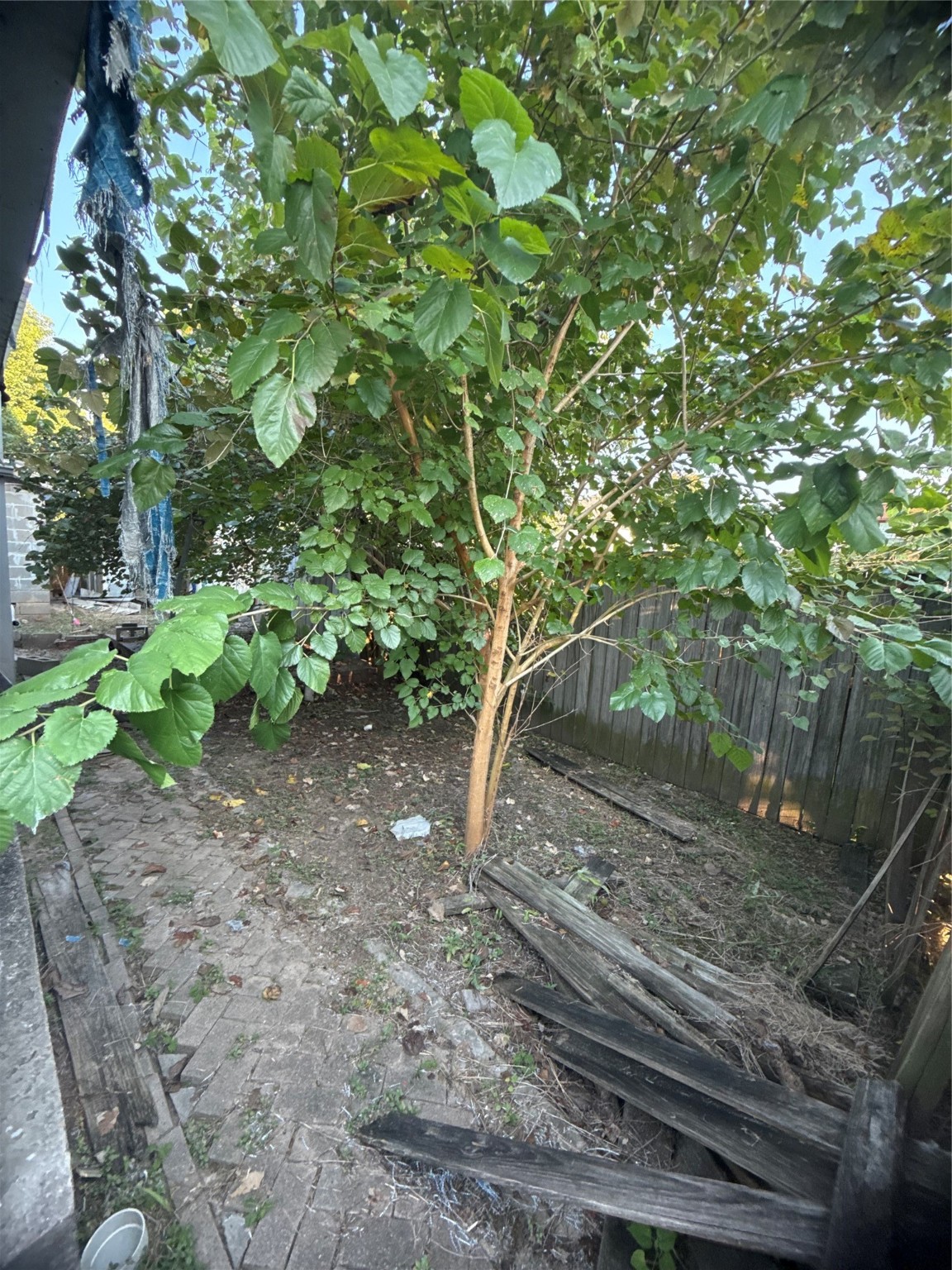 8412 Peekskill Lane Houston, TX 77075 - Photo 36 of 45 another angle of backyard
