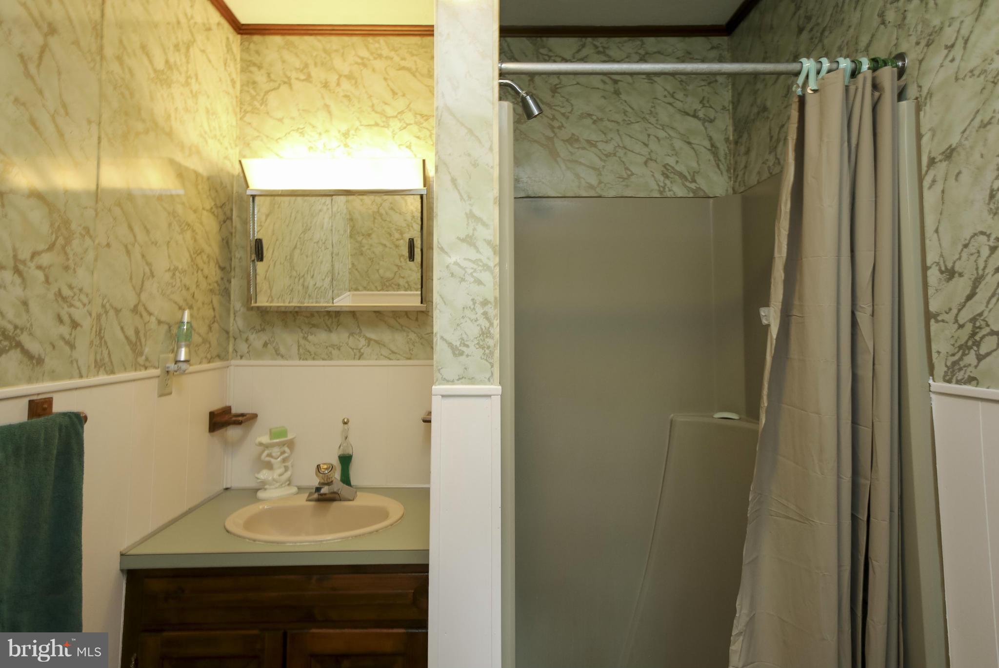 4355 Ruggles Road Taneytown, MD 21787 - Photo 12 of 27 a bathroom with a sink and a mirror