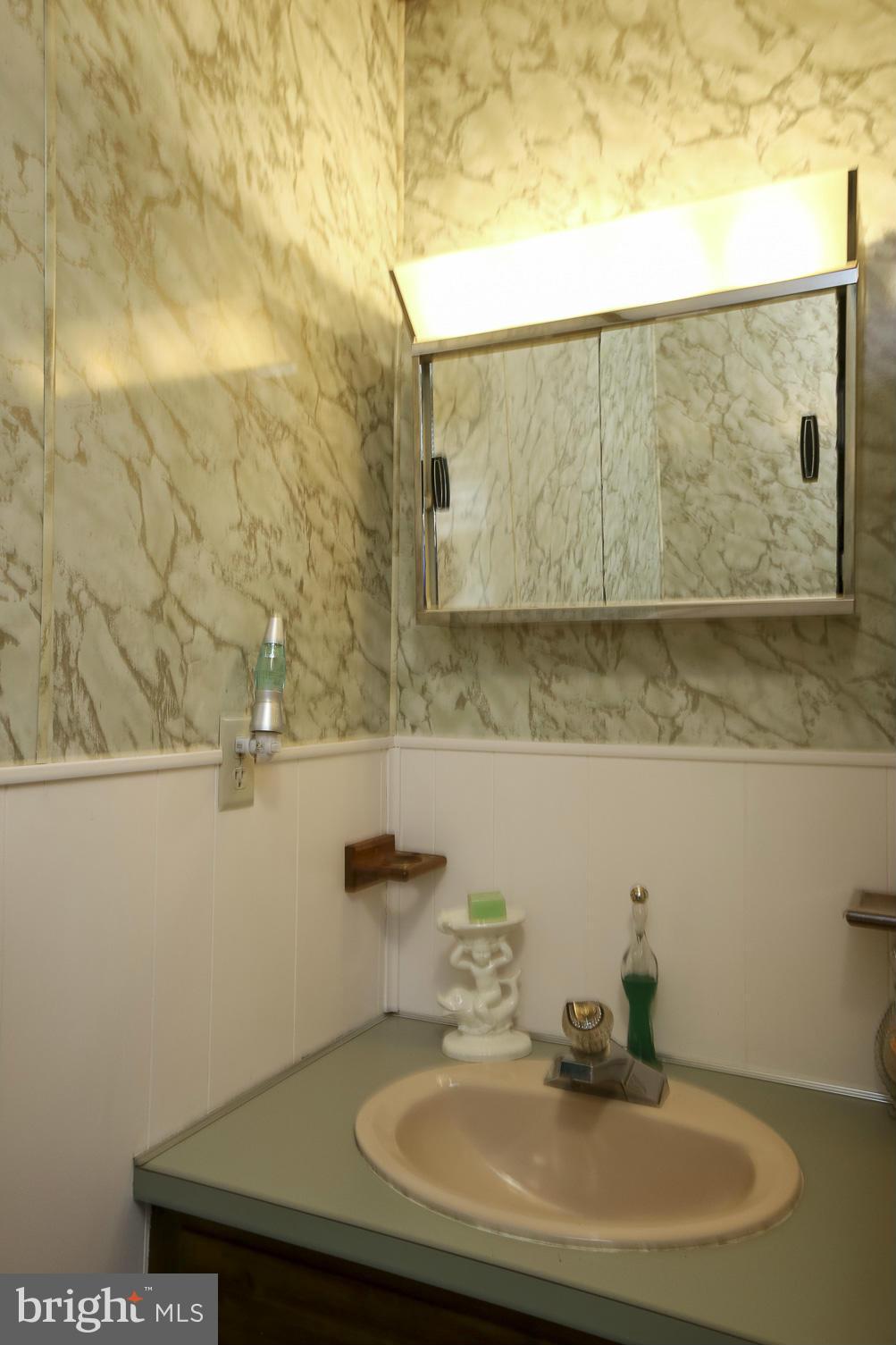 4355 Ruggles Road Taneytown, MD 21787 - Photo 13 of 27 a bathroom with a sink and a mirror