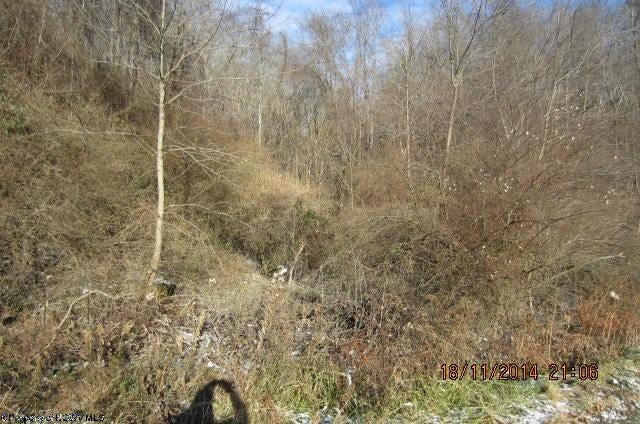 000 Jarvisville Road Salem, WV 26426 - Photo 17 of 20 Gallery Image 17