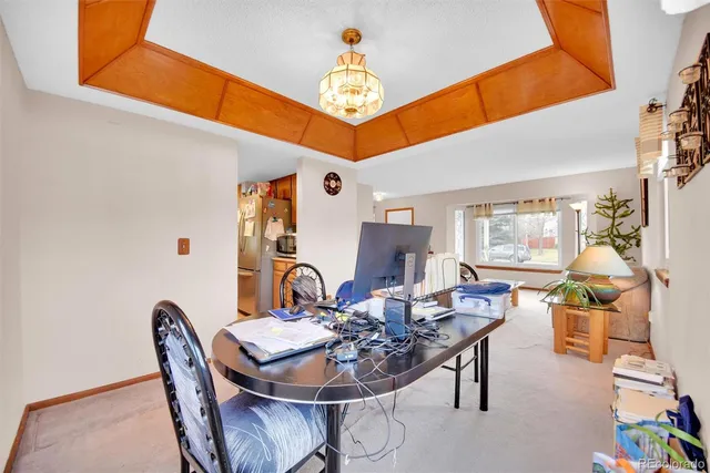 a dining room with furniture a rug a potted plant and a chandelier