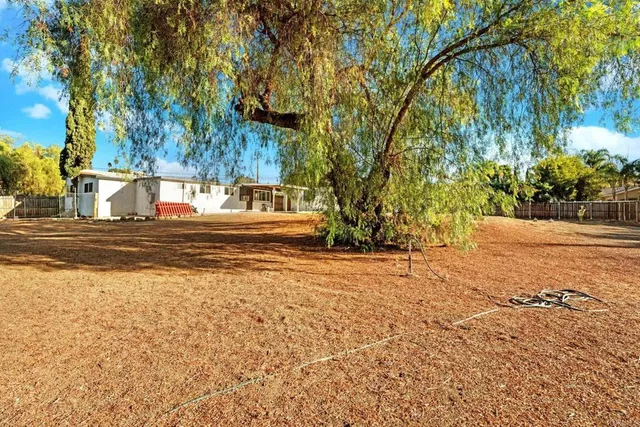 a view of a yard with plants and trees