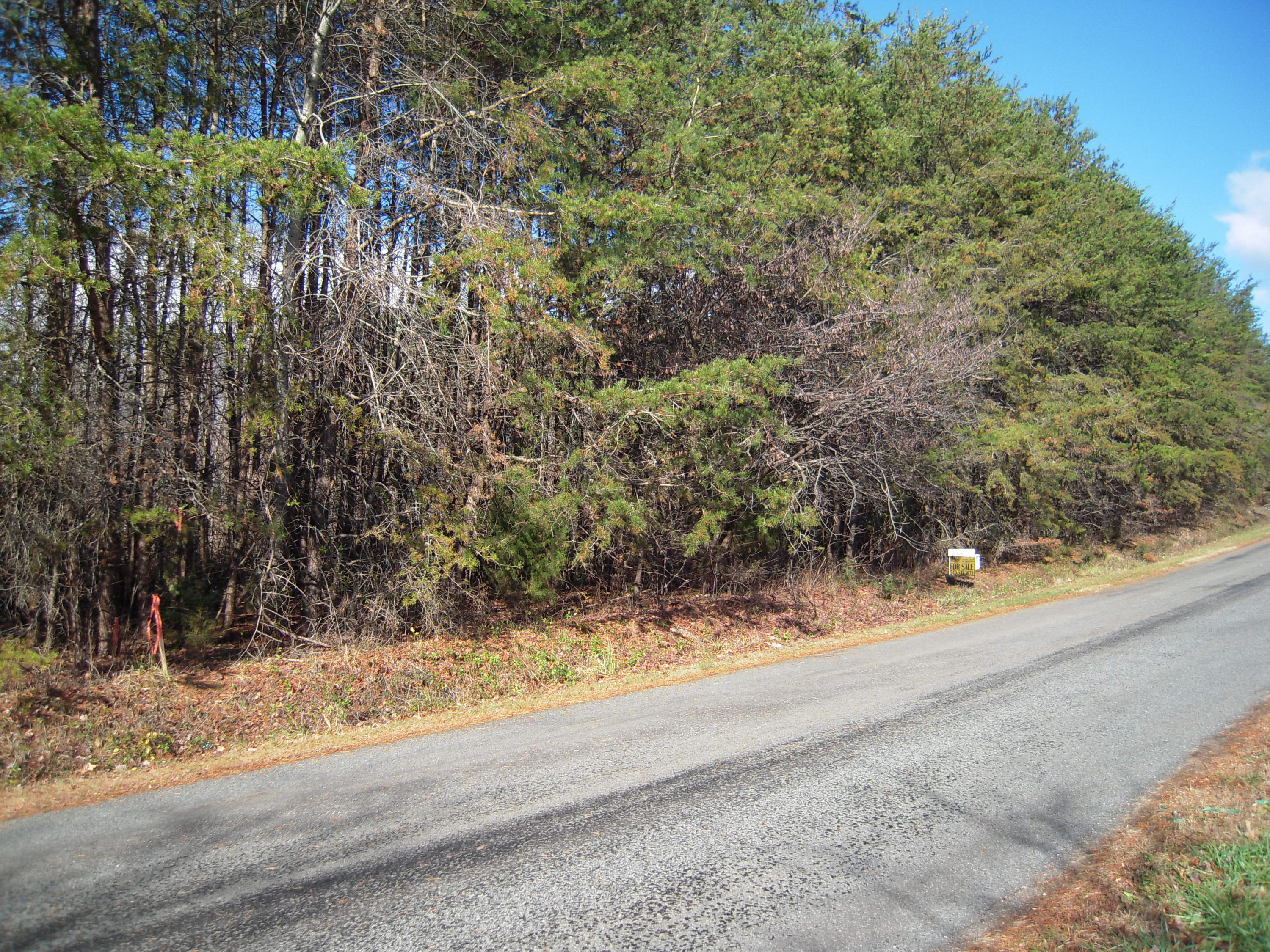 Lot 2 Dove Road Union Hall, VA 24176 - Photo 1 of 9 Road Frontage