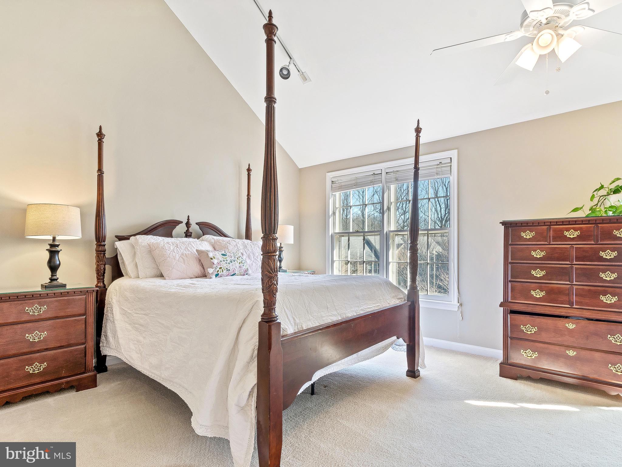 11705 Great Owl Circle Reston, VA 20194 - Photo 14 of 38 Vaulted ceilings in the master