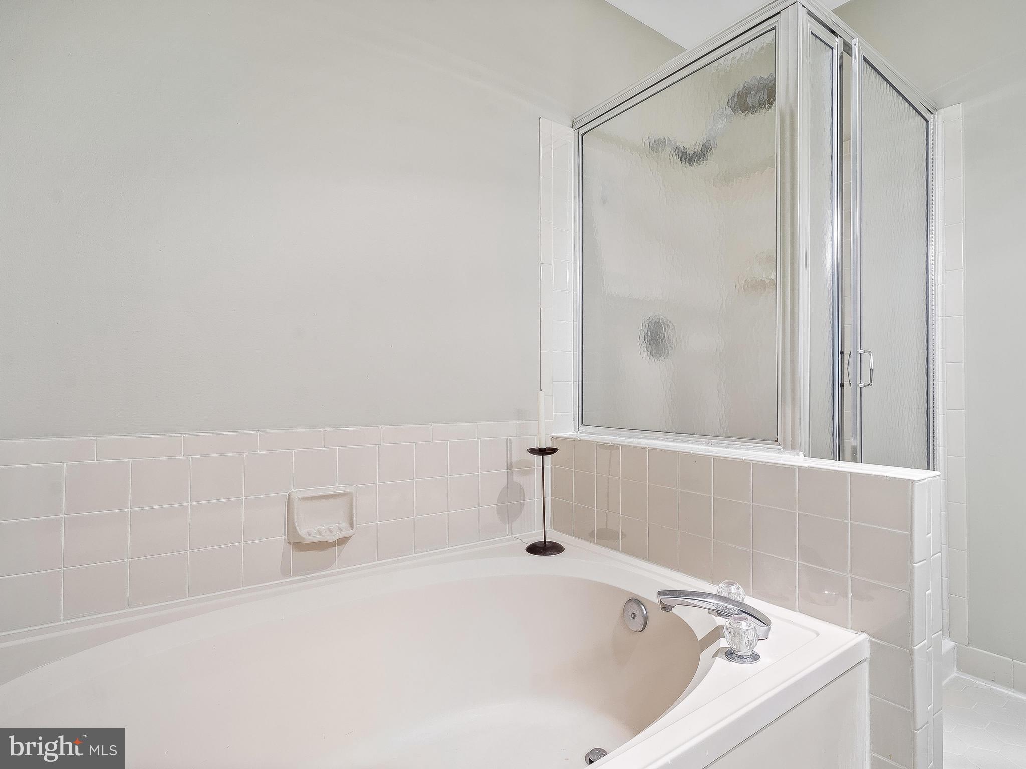 11705 Great Owl Circle Reston, VA 20194 - Photo 19 of 38 Master bathtub & shower