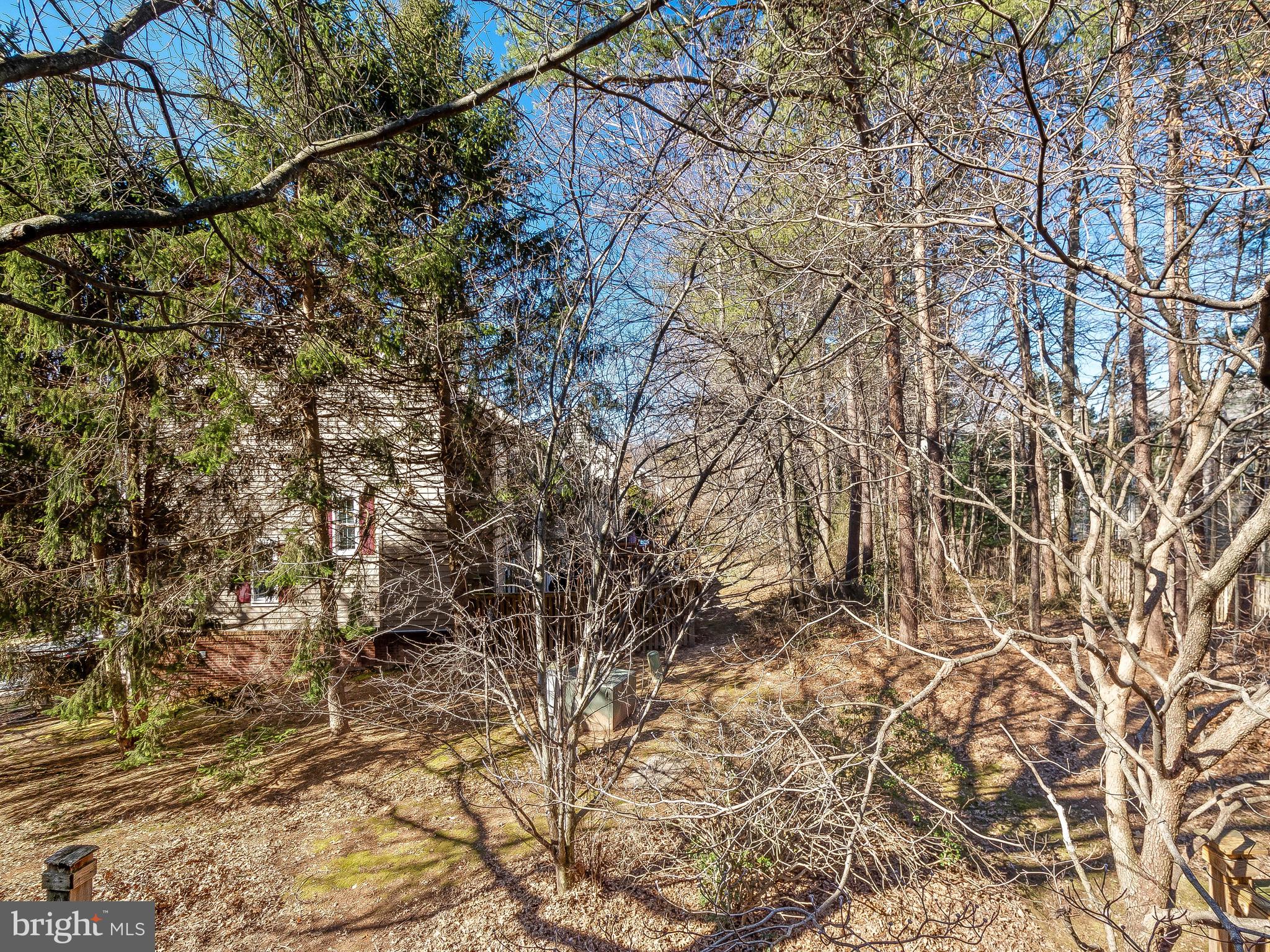 11705 Great Owl Circle Reston, VA 20194 - Photo 36 of 38 View from deck. Backs to trees, not other homes