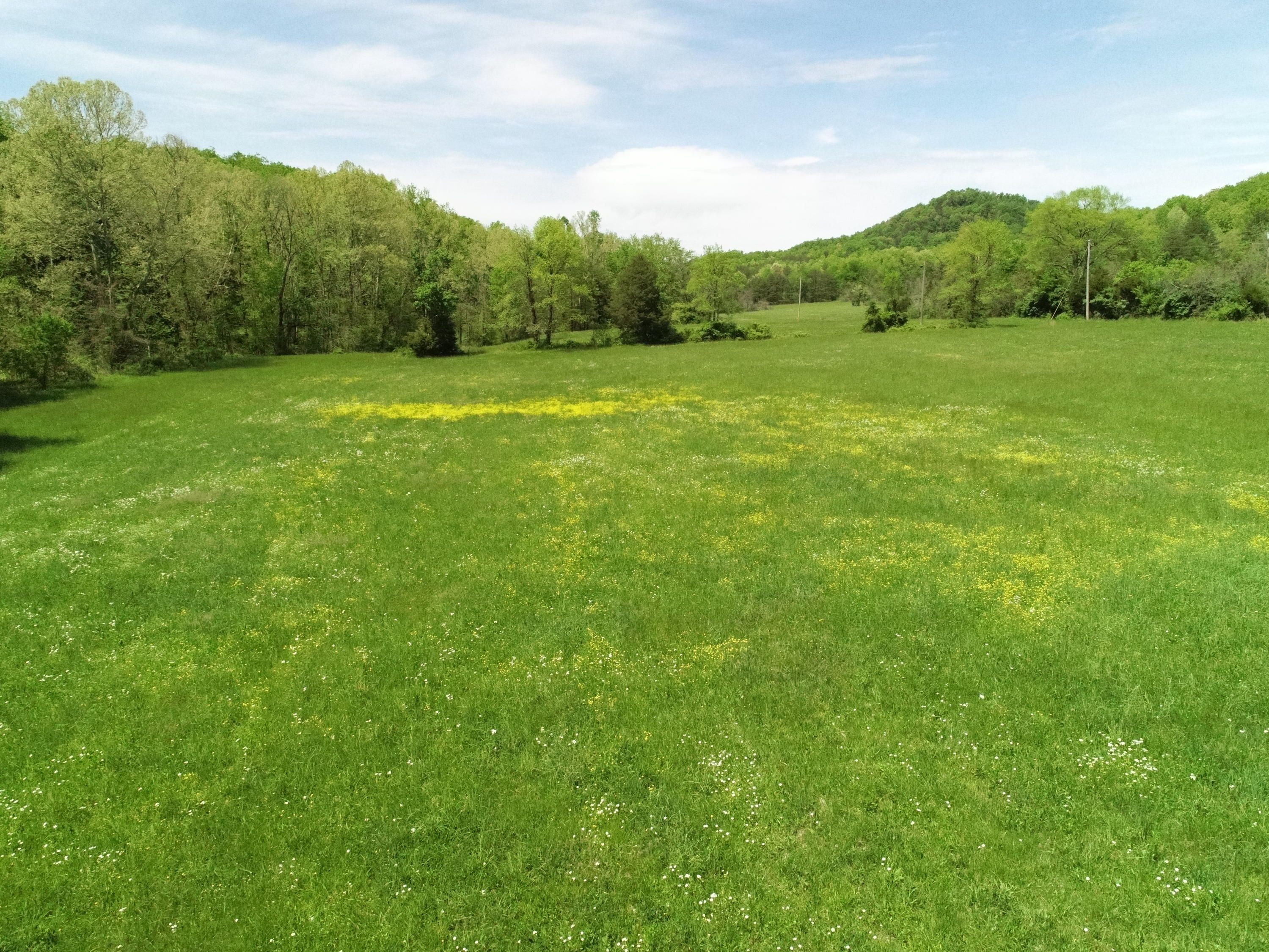 2771 Little Rock Road Irvine, KY 40336 - Photo 32 of 35 Fields!