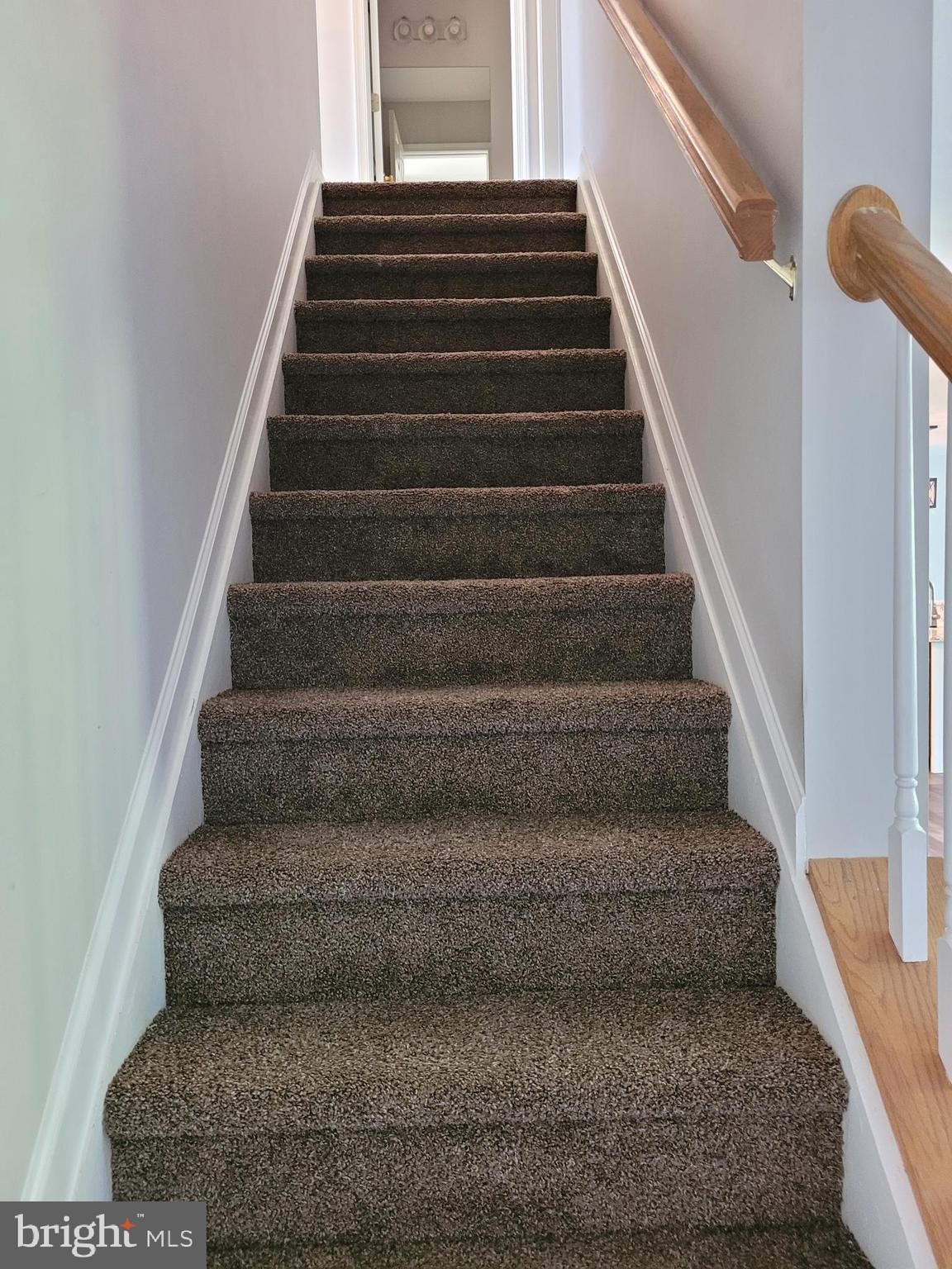 833 Dry Run Road Grantville, PA 17028 - Photo 15 of 41 Brand New Carpet