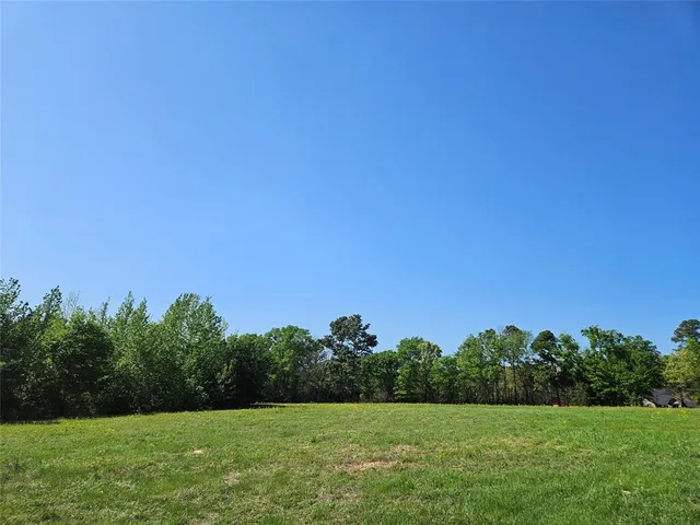 a view of a grassy field with trees in the background