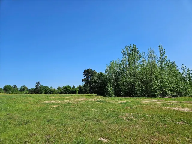 a view of a field with an ocean