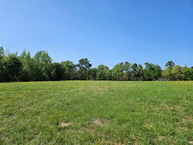 a view of field with trees in the background