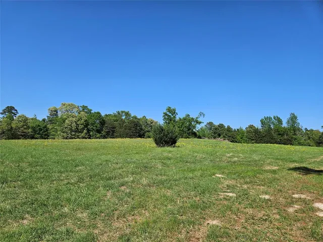 a view of a big yard with a tree