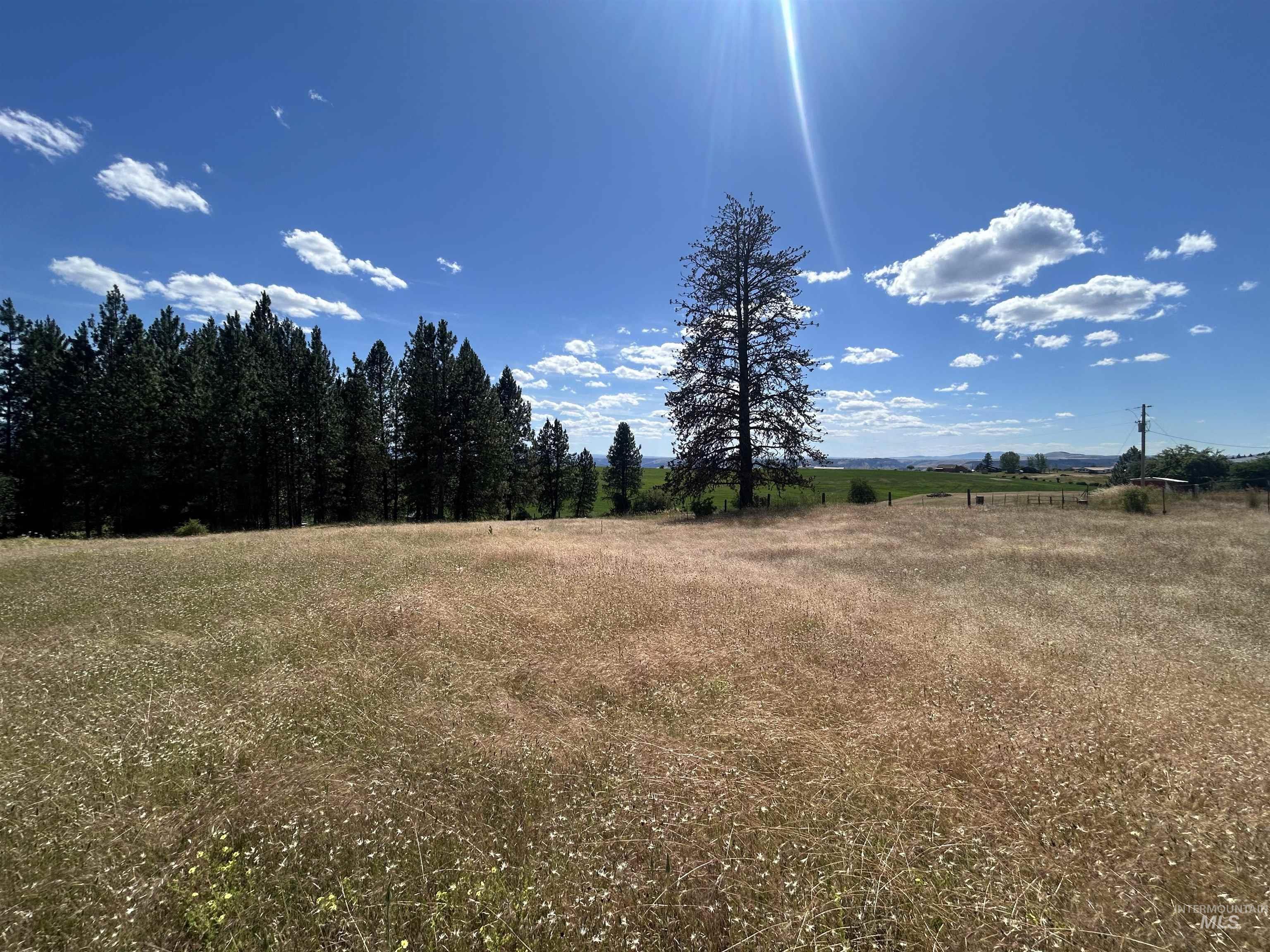Tbd Lot 2 Tbd Road Kooskia, ID 83539 - Photo 7 of 15