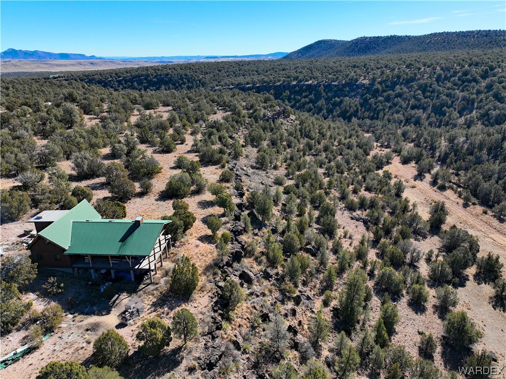 29775 West Ridge Runner Road Seligman, AZ 86337 - Photo 1 of 36 Aerial View