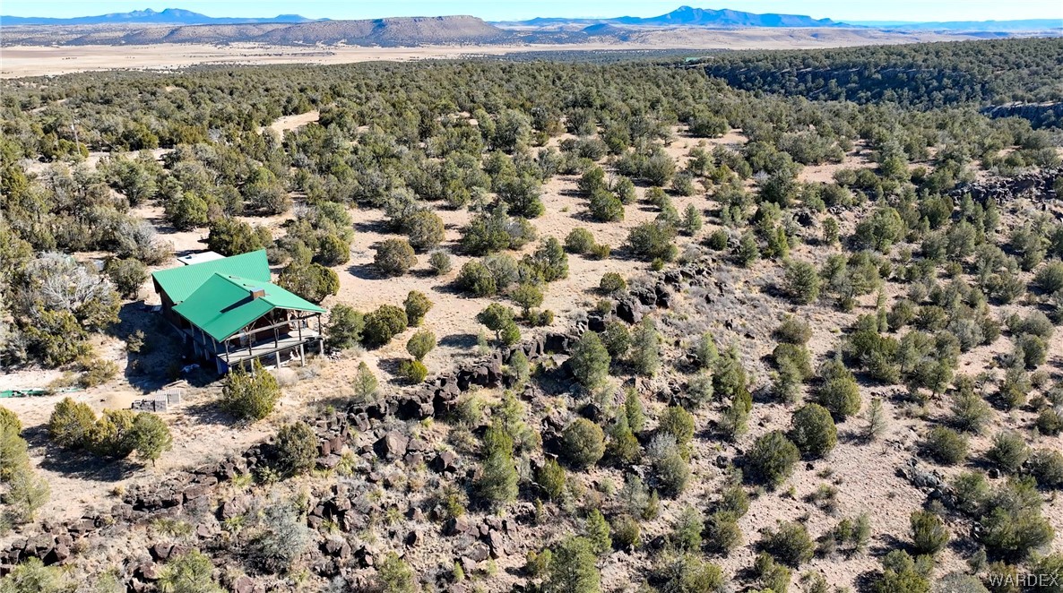 29775 West Ridge Runner Road Seligman, AZ 86337 - Photo 35 of 36 Aerial View