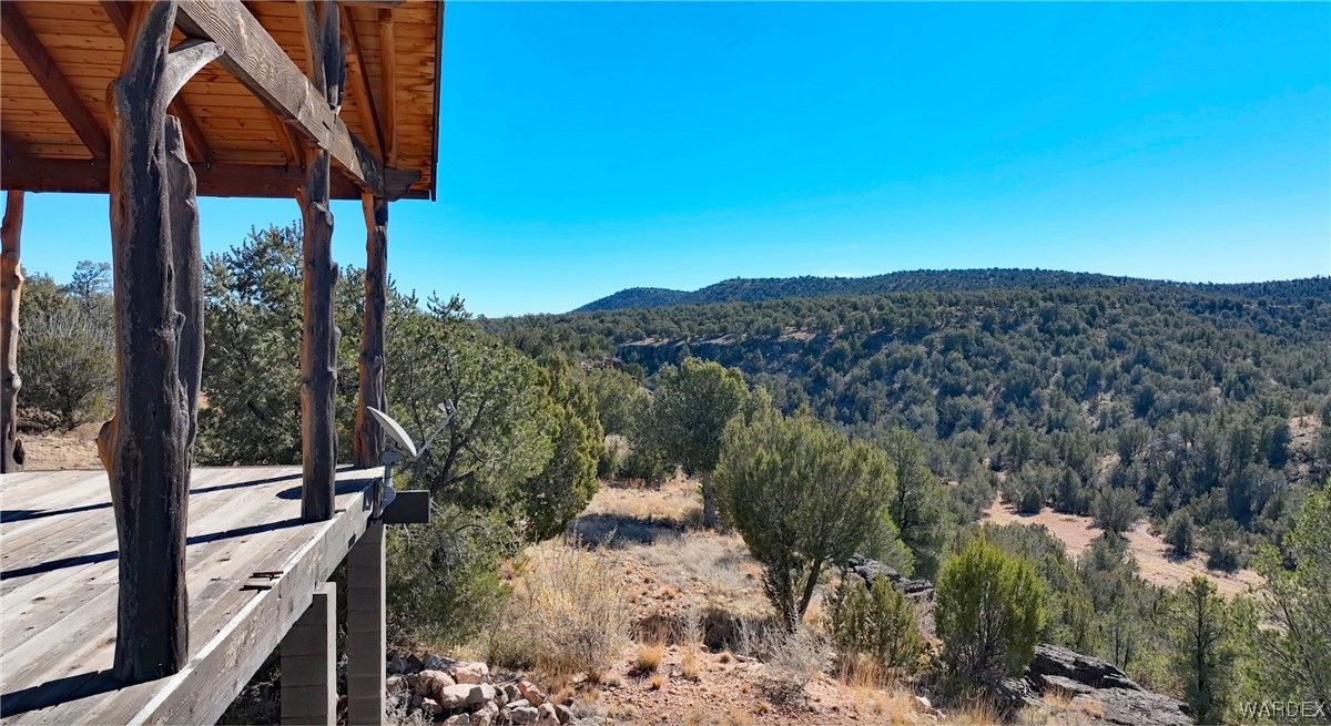 29775 West Ridge Runner Road Seligman, AZ 86337 - Photo 36 of 36 View