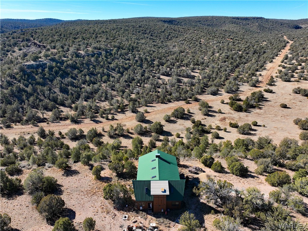 29775 West Ridge Runner Road Seligman, AZ 86337 - Photo 4 of 36 Aerial View