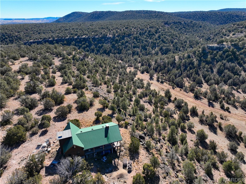 29775 West Ridge Runner Road Seligman, AZ 86337 - Photo 5 of 36 Aerial View