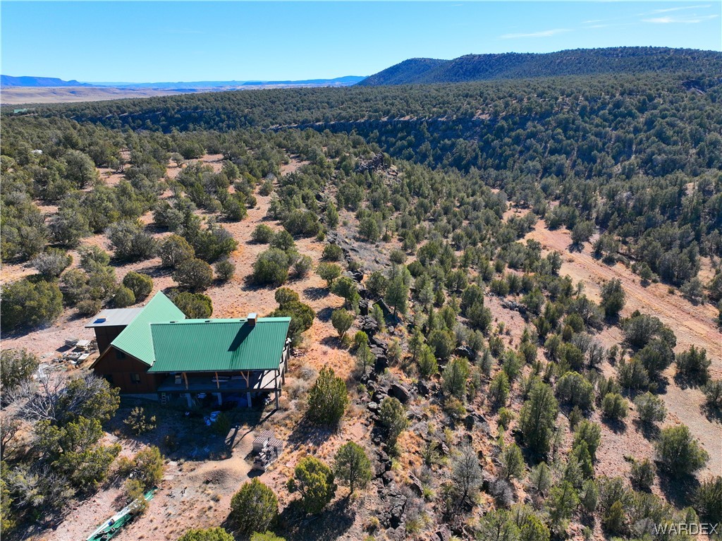 29775 West Ridge Runner Road Seligman, AZ 86337 - Photo 7 of 36 Aerial View