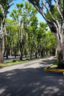 $300,000 | 14311 North Kendall Drive, Unit 206A, Miami, FL 33186