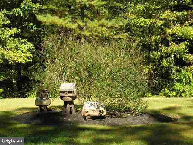 696 Losh Road Shermans Dale, PA 17090 - Photo 18 of 19 Gallery Image 18