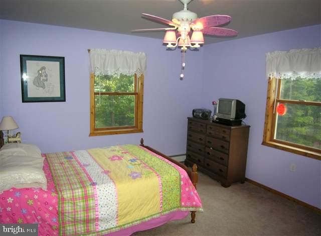 696 Losh Road Shermans Dale, PA 17090 - Photo 10 of 19 Gallery Image 10