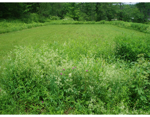 24 Alderman Road Middlefield, MA 01011 - Photo 14 of 16