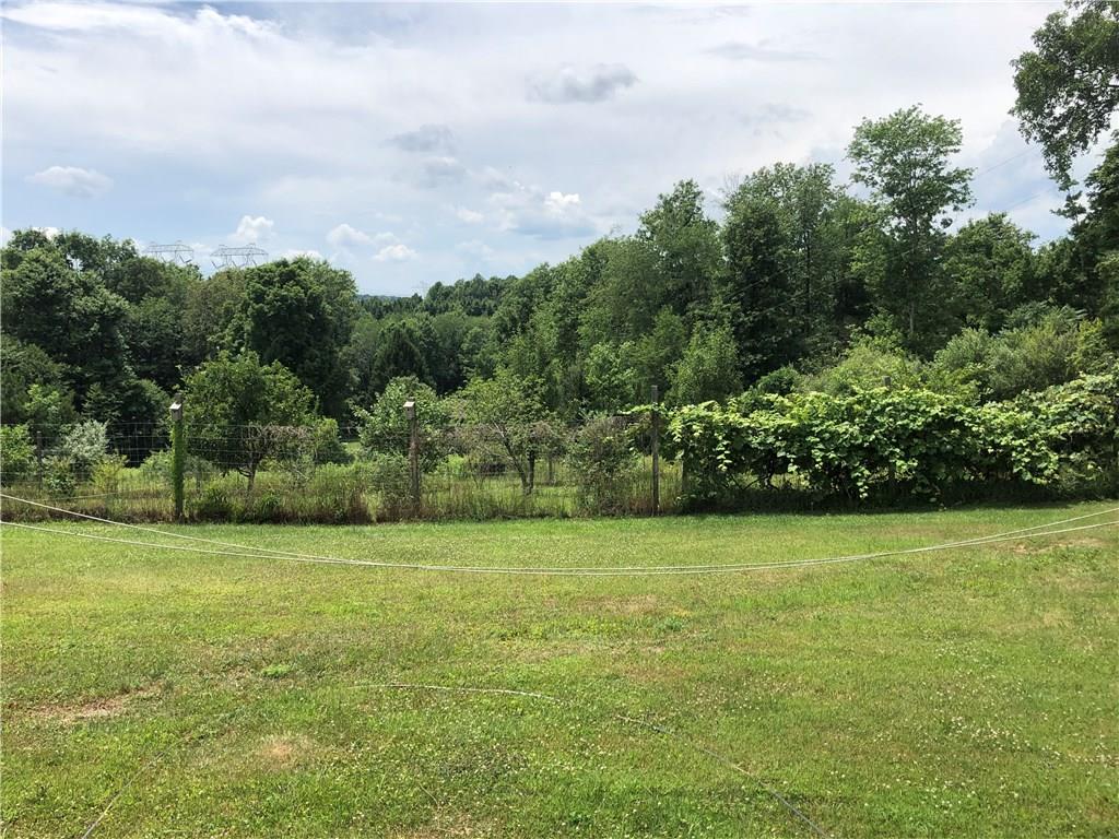 1003 Stable Road Indiana, PA 15701 - Photo 22 of 25
