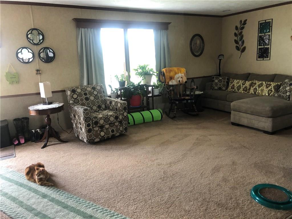 1003 Stable Road Indiana, PA 15701 - Photo 5 of 25