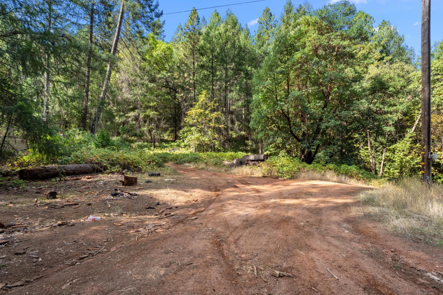 3765 Deer Canyon Road Placerville, CA 95667 - Photo 4 of 8 a view of a yard with a tree